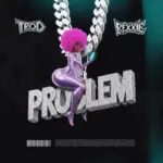 Problem Cover