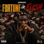 Fortune or Flesh Cover Art