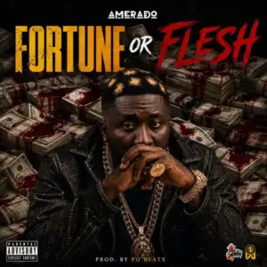 Fortune or Flesh Album Cover