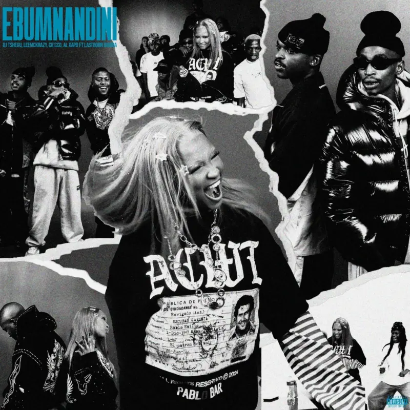 Ebumnandini by DJ Tshegu cover art