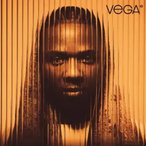 Artist Femi Vega