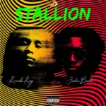 Stallion Cover Art