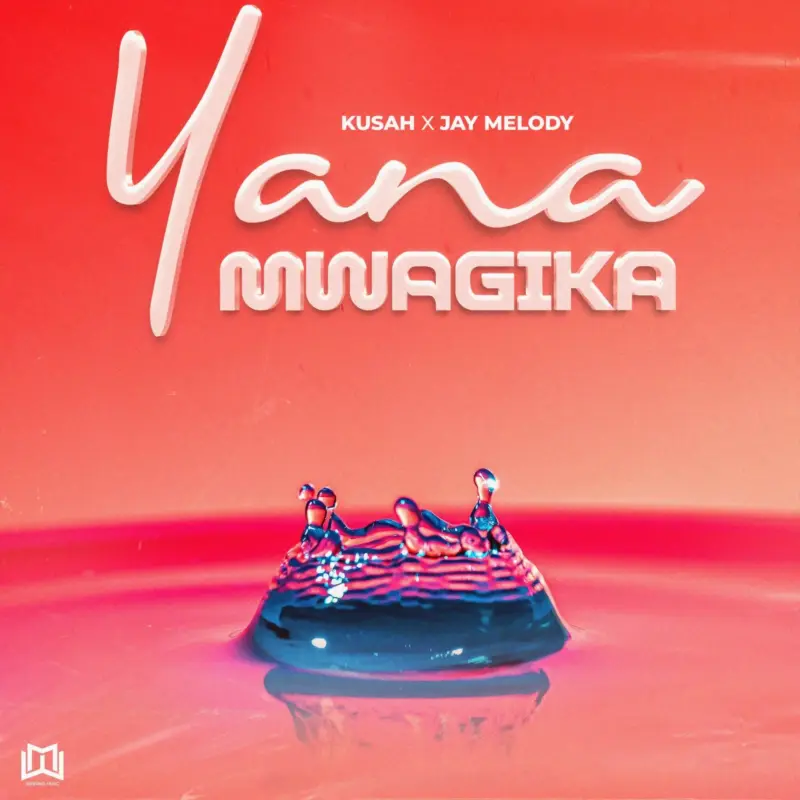 Yanamwagika by Kusah cover art