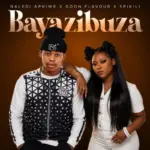 Bayazibuza Cover