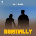 Normally Art Cover