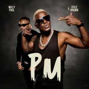 Artist Willy Paul