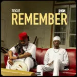 REMEMBER Art Cover